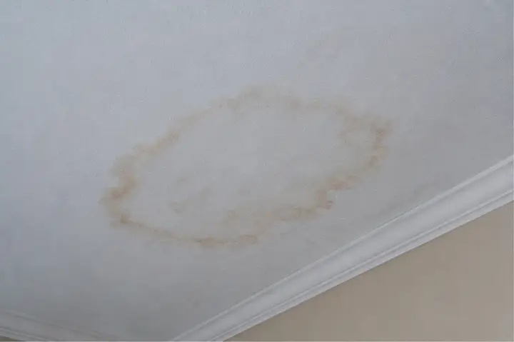 Interior ceiling tile with a dark water stain from active or recent moisture.