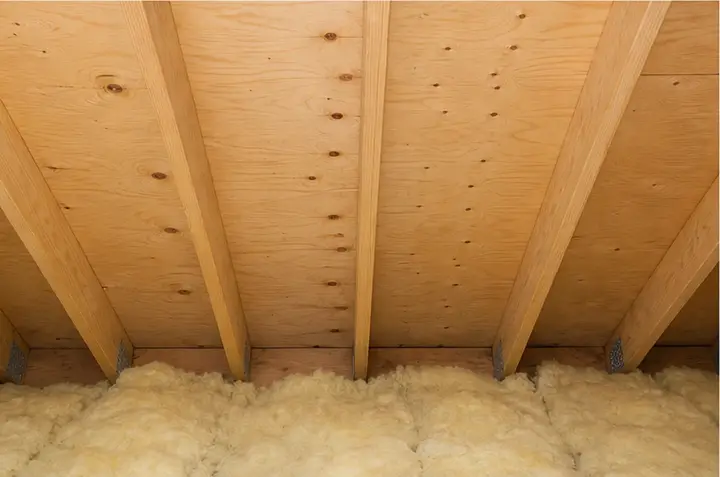 Dry attic or garage framing with no visible water marks.